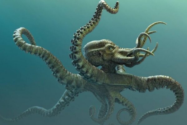 Kraken актуальное