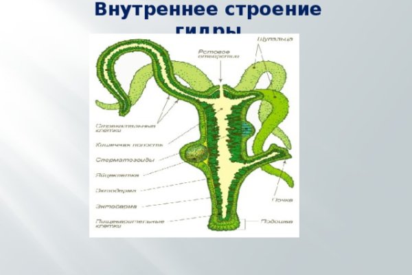 Почему в кракене пользователь не найден