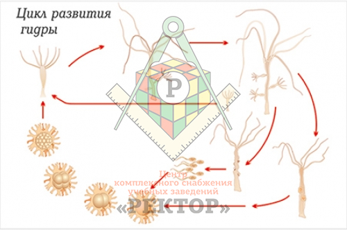 Кракен тор маркет пв