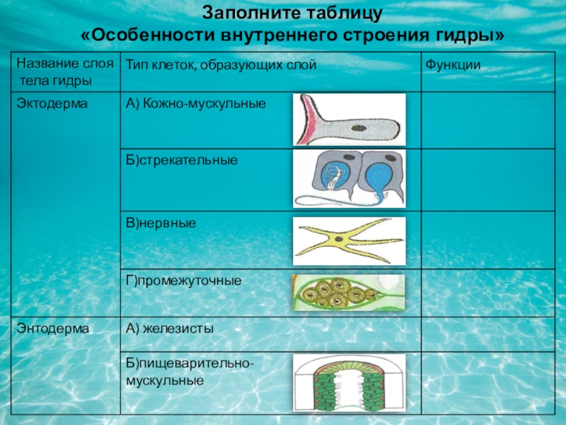 Kraken пользователь не найден при входе